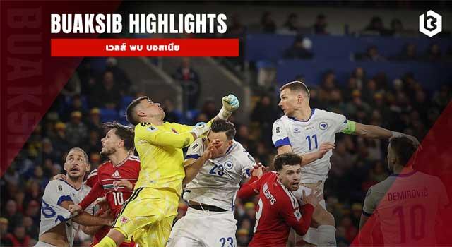 เวลส์ พบ บอสเนีย