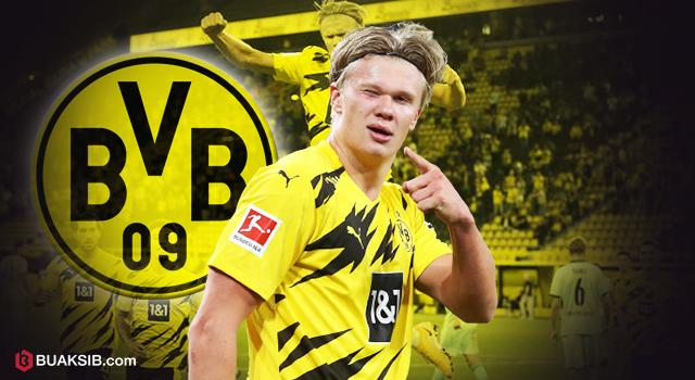 เออร์ลิ่ง เบราน์ ฮาลันด์