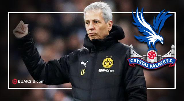 เซียน ฟาฟร์