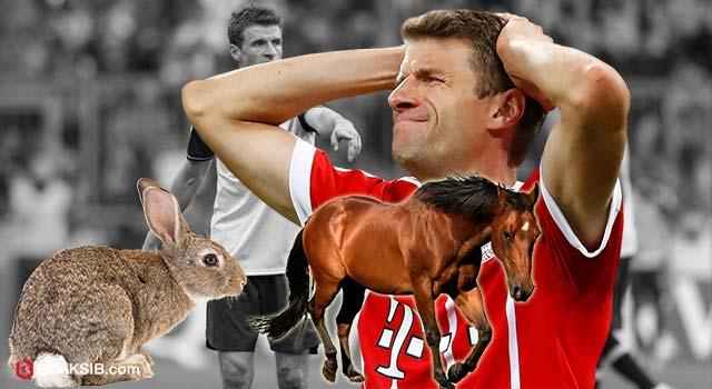 โธมัส มุลเลอร์