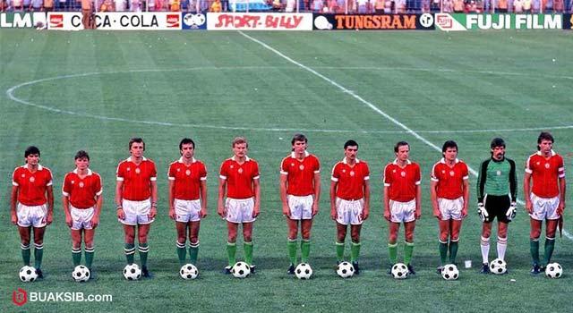 ทีมชาติฮังการี